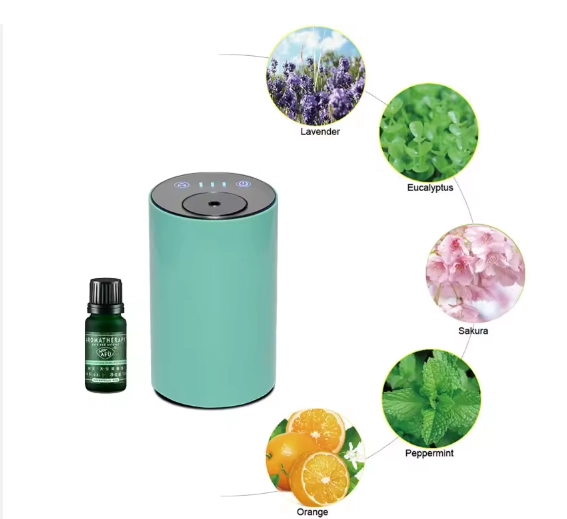 微信图片_20250916101623_93_1 - Saintdeland Fragrance