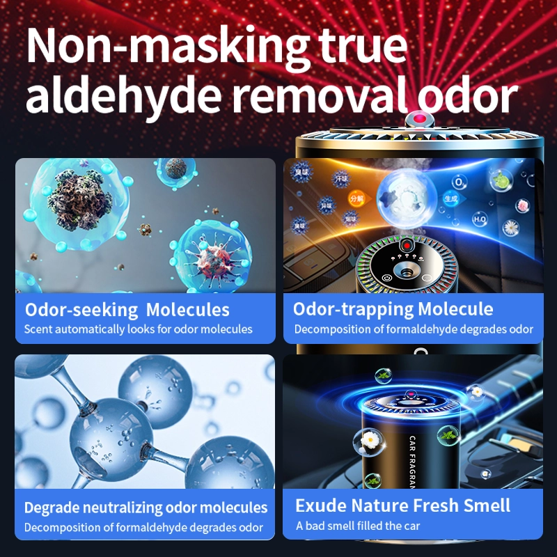 主图6 - Saintdeland