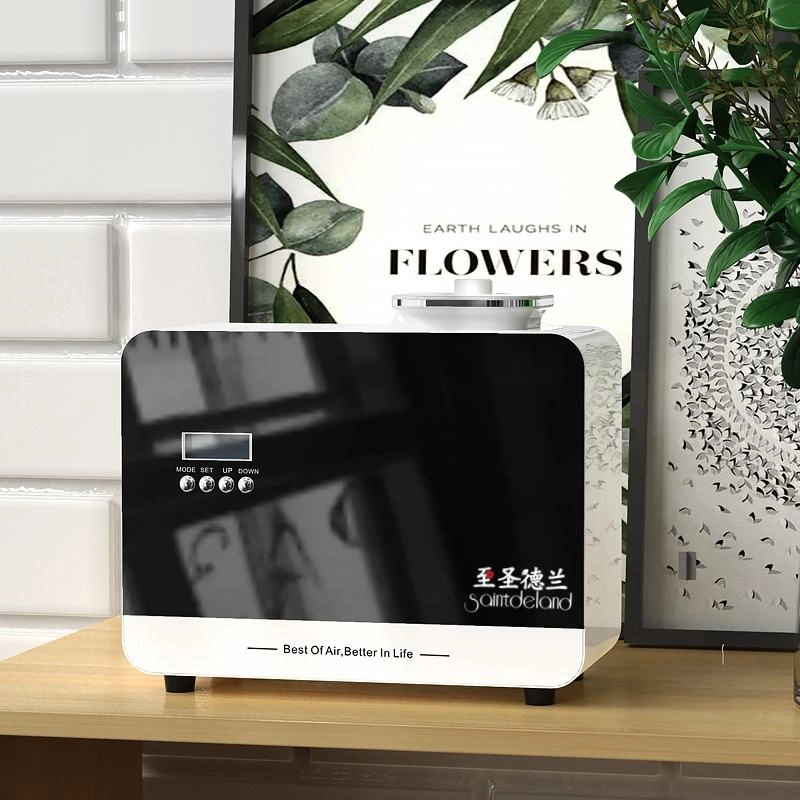 1 - Saintdeland Fragrance