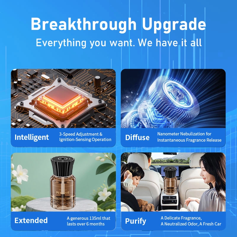 主图2 - Saintdeland