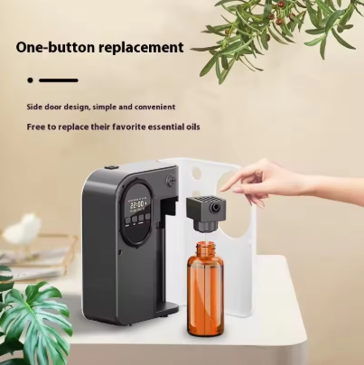 微信图片_20250919112506_251_1