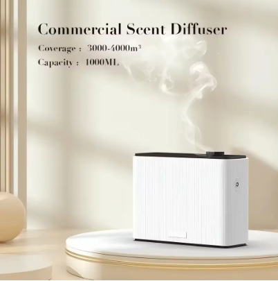 微信图片_20250915103243_355_13 - Saintdeland Fragrance