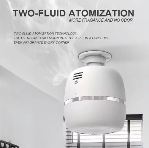 微信图片_20250918163829_215_1 - Saintdeland Fragrance