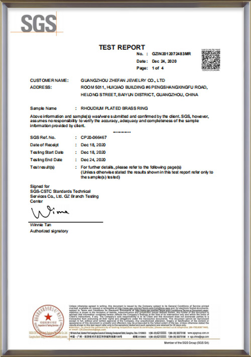 Test di nebbia salina con acido acetico (AASS)-zhefanjewelry