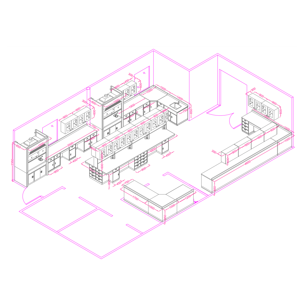 America food lab 3D Drawing