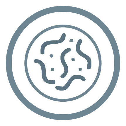 ANTI-BACTERIAL AND HYGIENIC