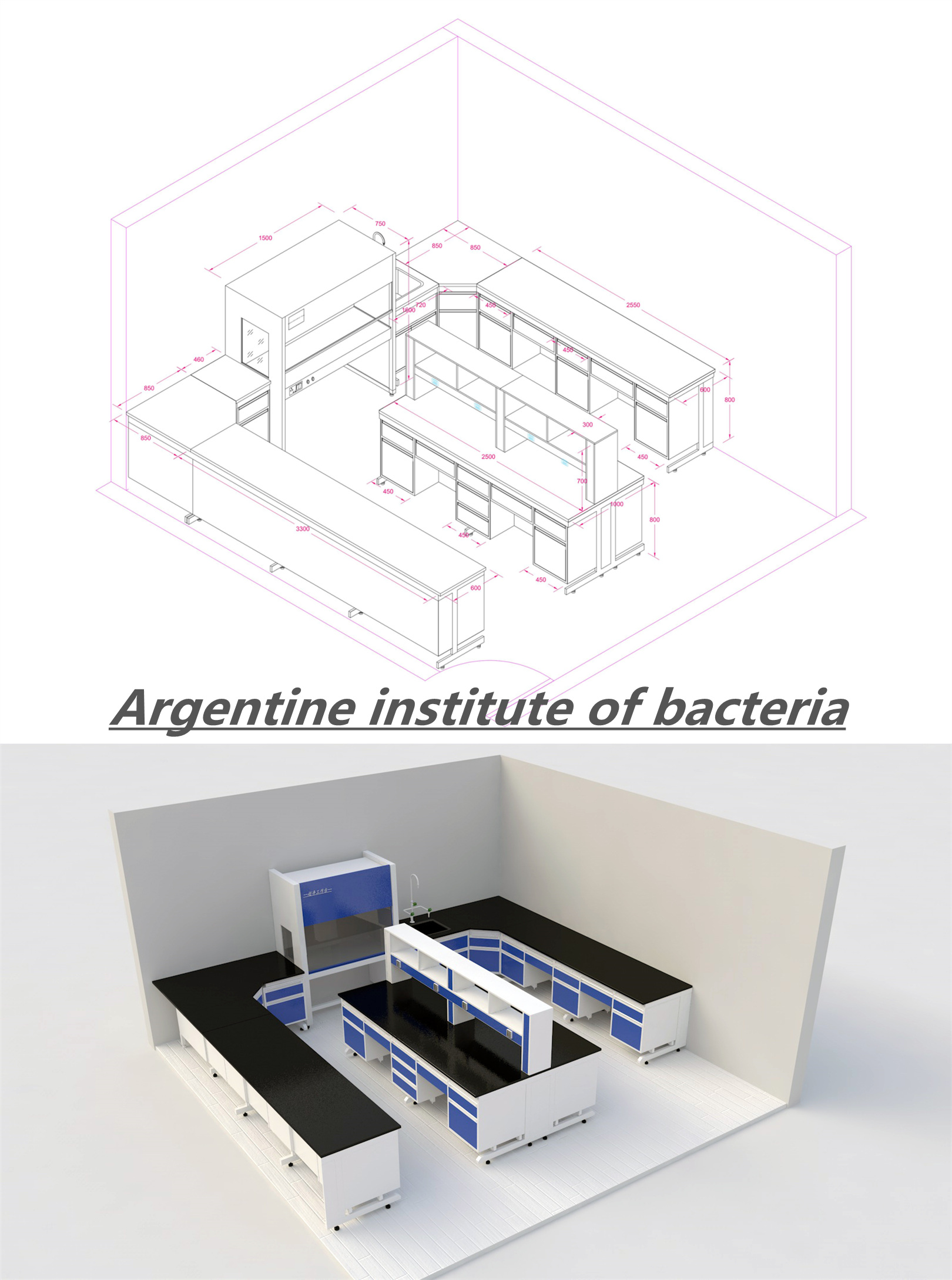Argentina Institute of Bacteria Argentina Institute of Bacteria