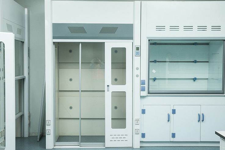 basic walk in fume hood