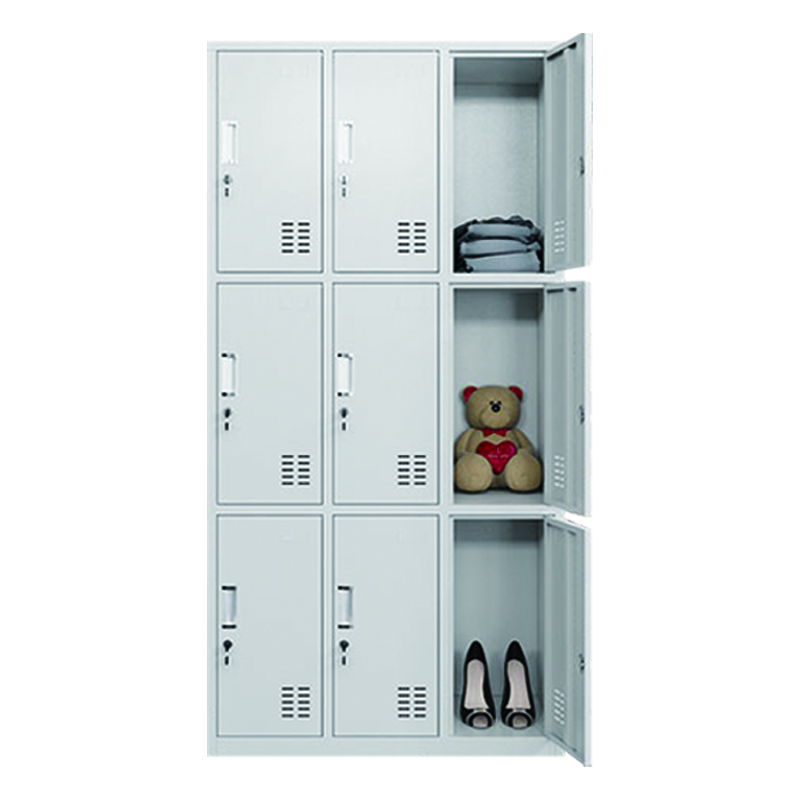 Biology Steel File Cabinet locker