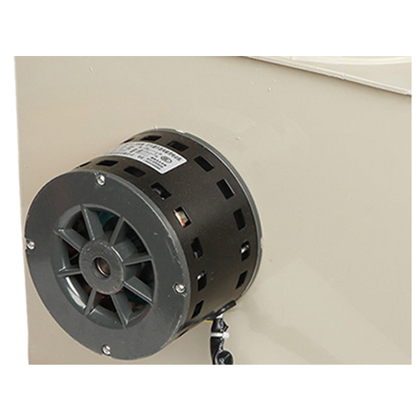 Double Ball Shaft Motor