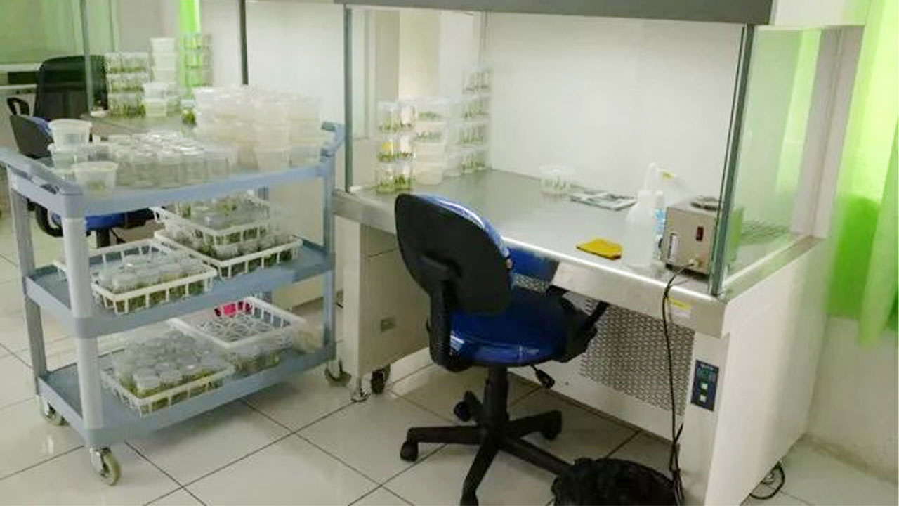 Flow-Hood-Laminar-Air