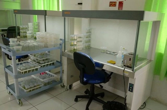 Forestry Tissue Training Laboratory