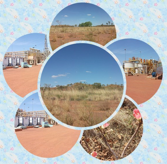 lab benches with storage lab benches with storage