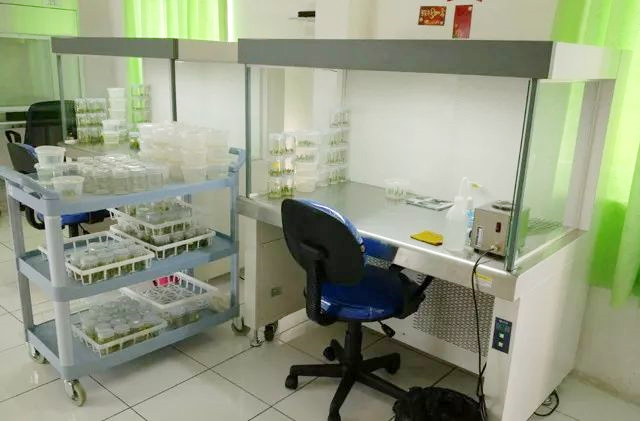 Laminar Air Flow Cabinet