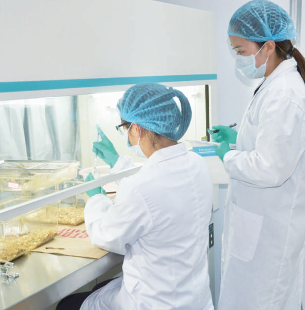 Laminar Flow Laminar Flow