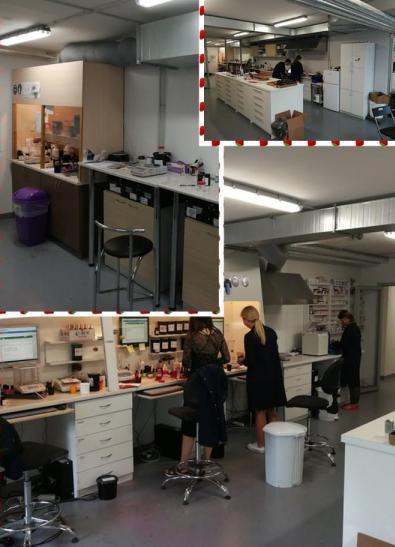 Latvia Laboratory case