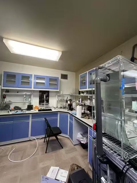 modular laboratory furniture USA modular laboratory furniture USA