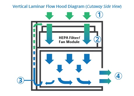 Vertical Laminar Flow Cabinet working principle Vertical Laminar Flow Cabinet working principle