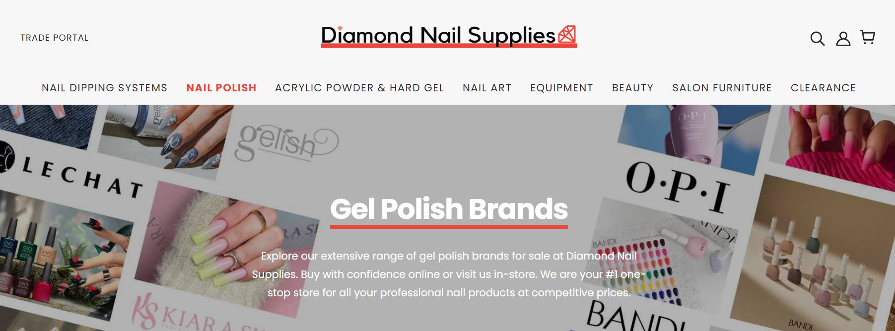 Diamond Nail Supplies Function Gel manufacturer brands