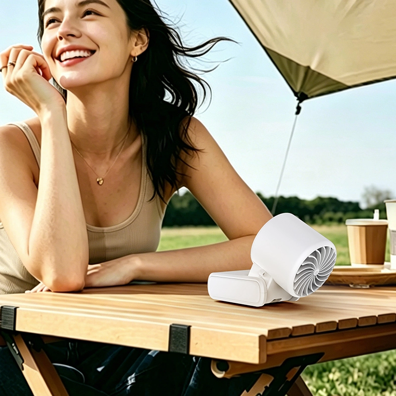 Portable Cooling Hand Fan 12 - RYW