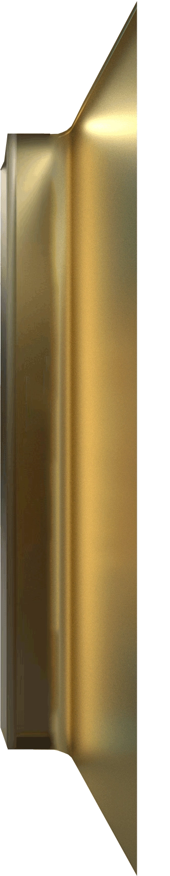 Champagne gold stainless steel（右） - SOLKER