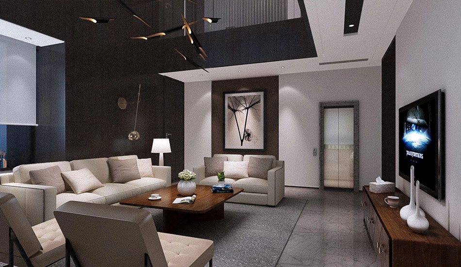 china villa elevator manufacturers - SOLKER