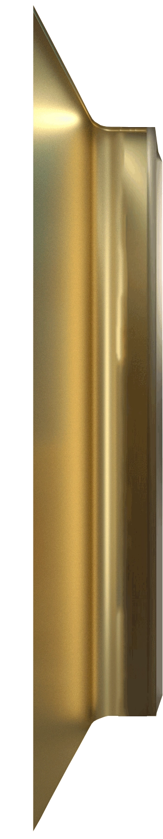 Champagne gold stainless steel（左） - SOLKER