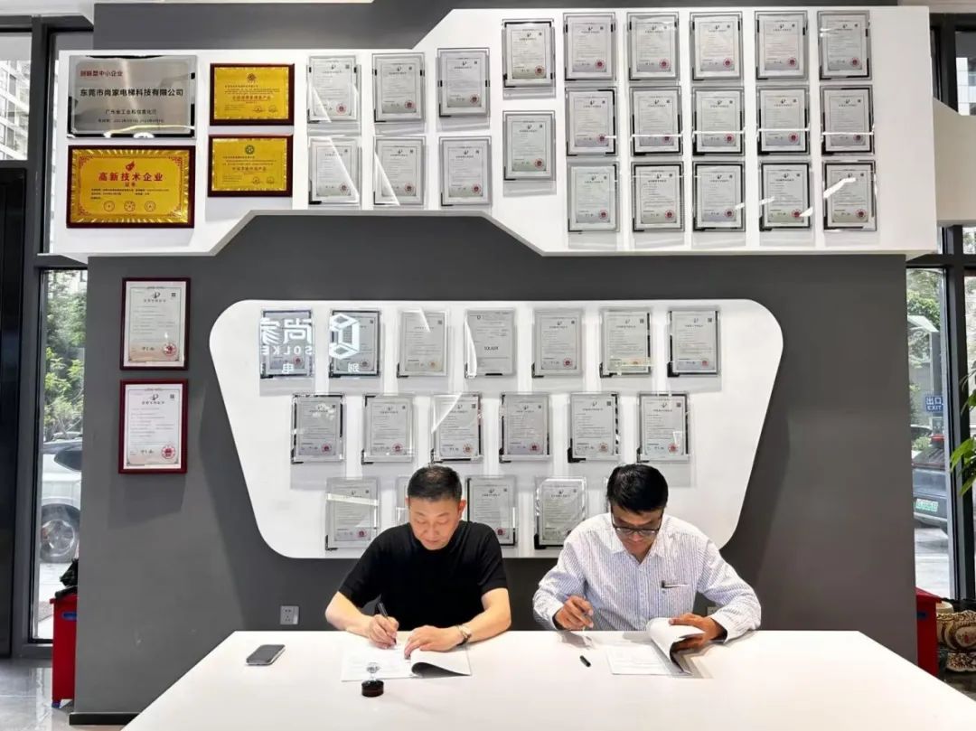home lift villa supplier (2)