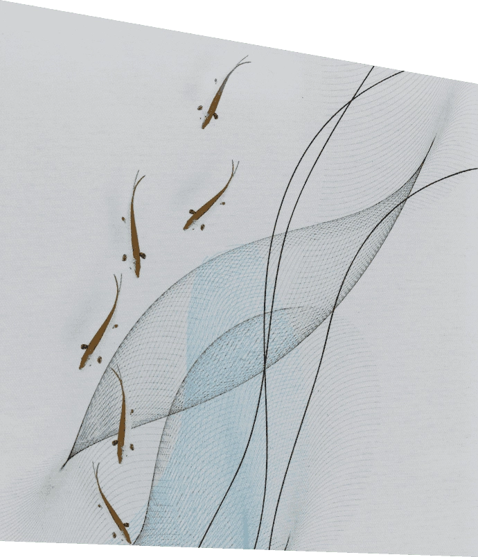 Nine Fish Fortune-Bringing Art Glass - SOLKER