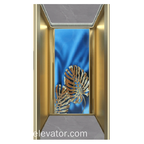 مصعد فيلا سكنية - سولكر