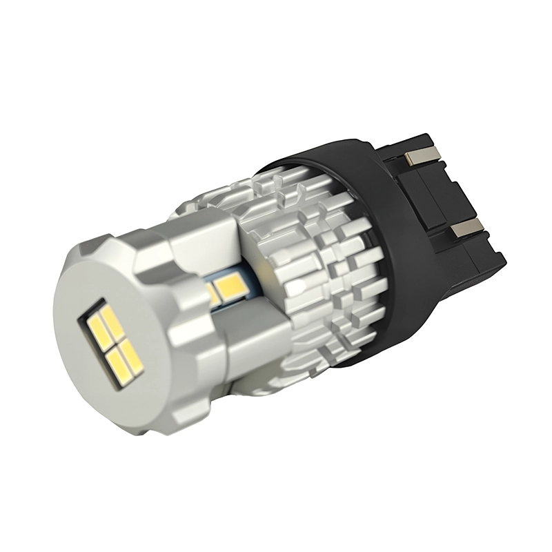 14 - CARNEON w5s/21w bulb - CARNEON