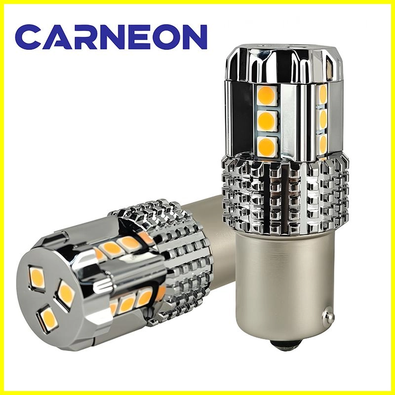 14 - CARNEON