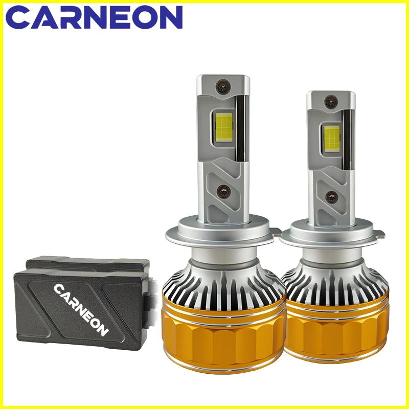 16 - CARNEON