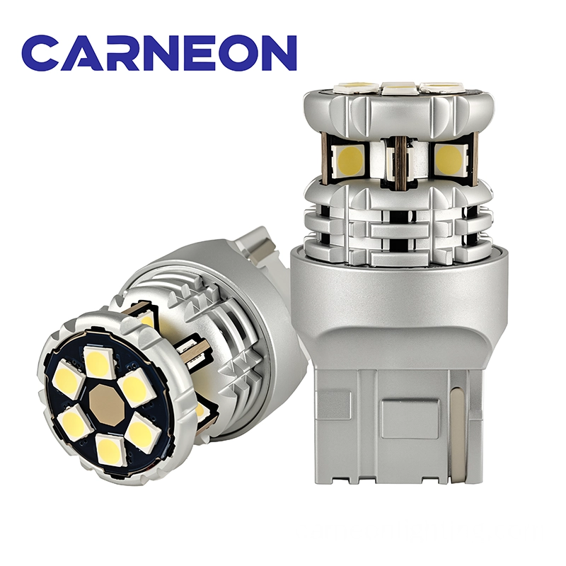 2 - CARNEON