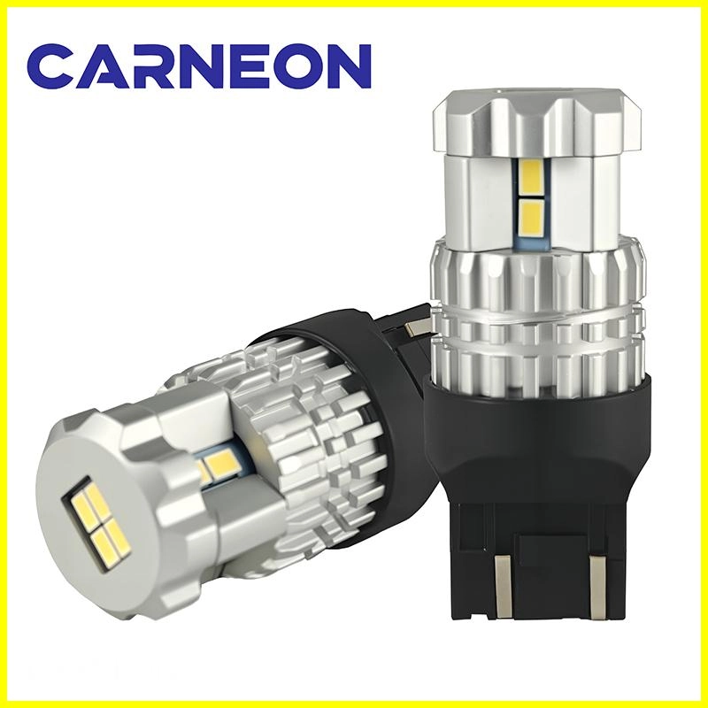 5 - CARNEON