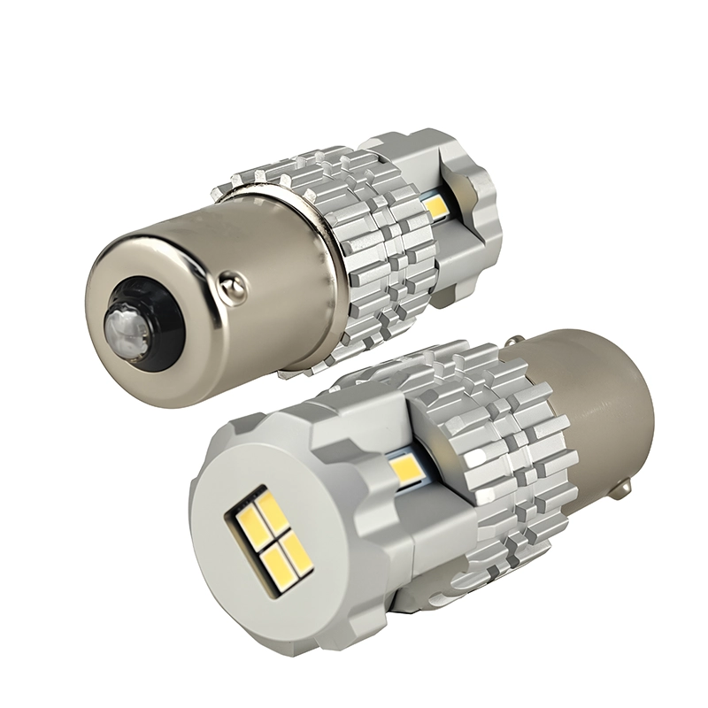 5 - CARNEON 5 - CARNEON