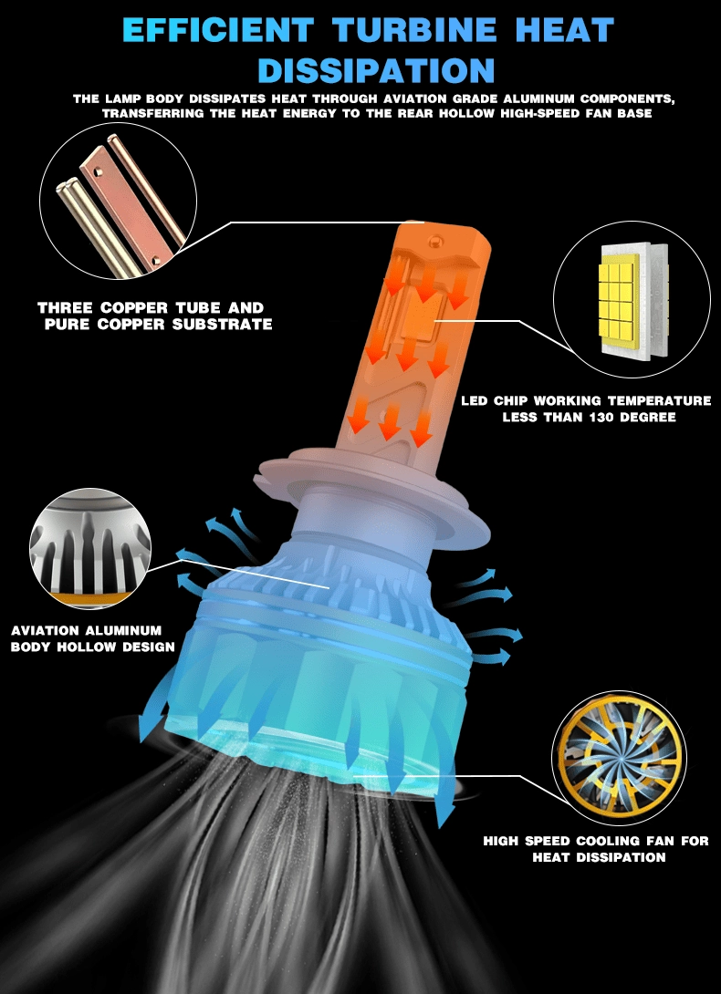 N11 detail (4) - CARNEON
