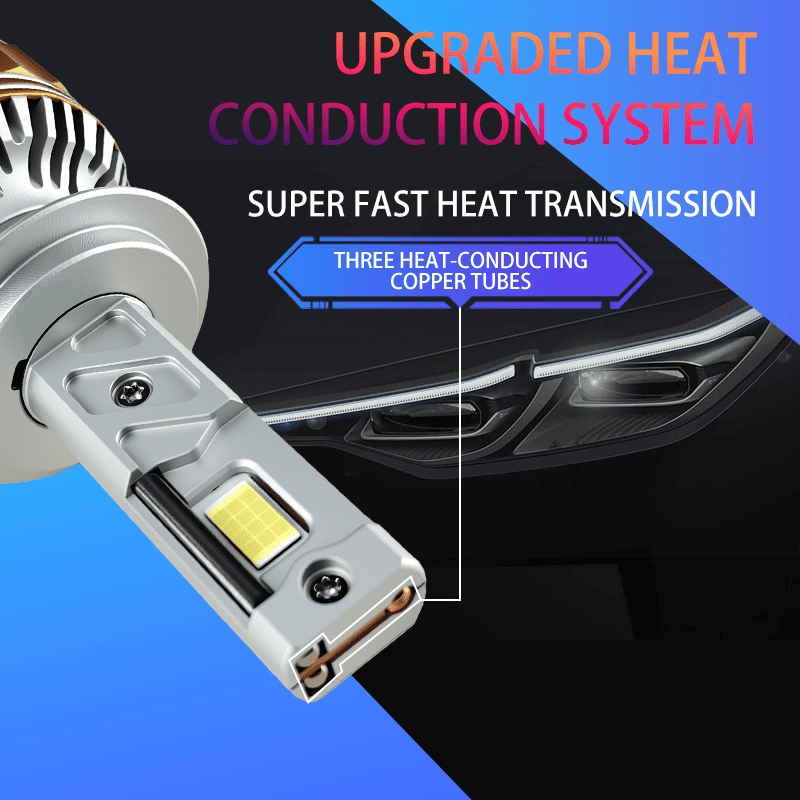 N11 detail (6) - CARNEON