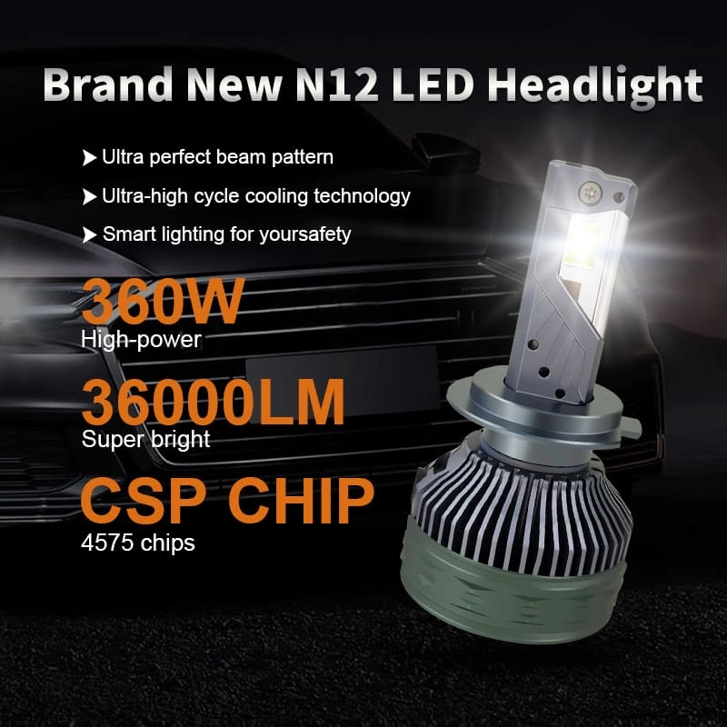 N12 detail (1) - CARNEON