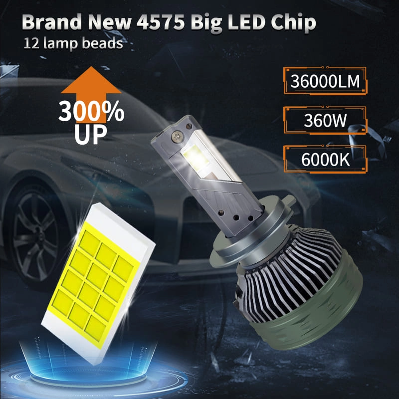 N12 detail (2) - CARNEON