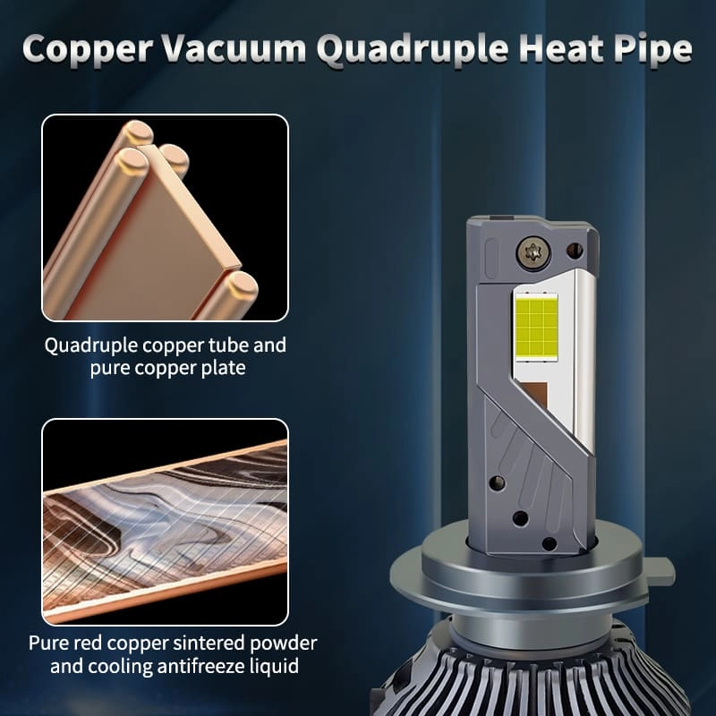 N12 detail (3) - CARNEON