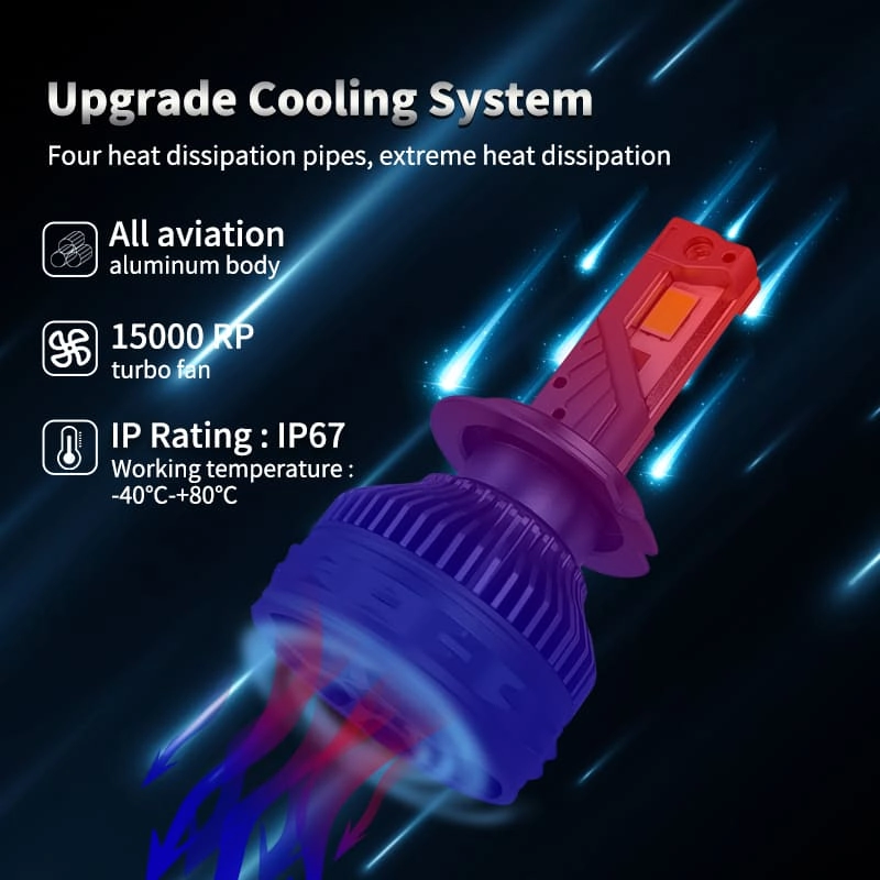 N12 detail (4) - CARNEON