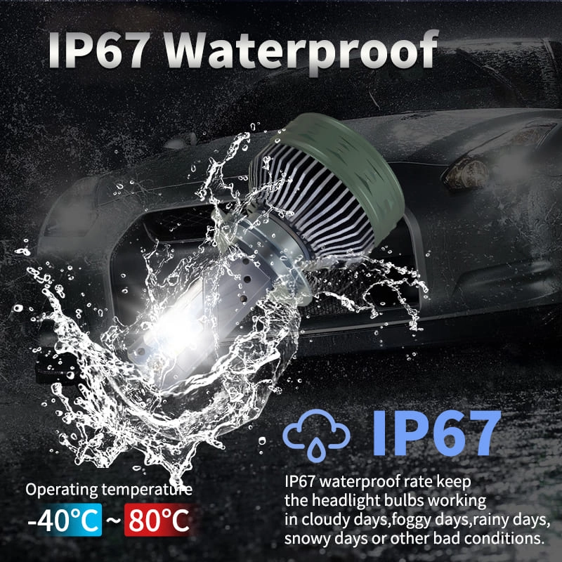 N12 detail (7) - CARNEON