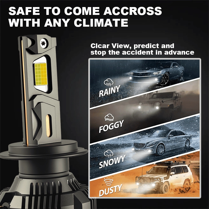 N14 detail (5) - CARNEON