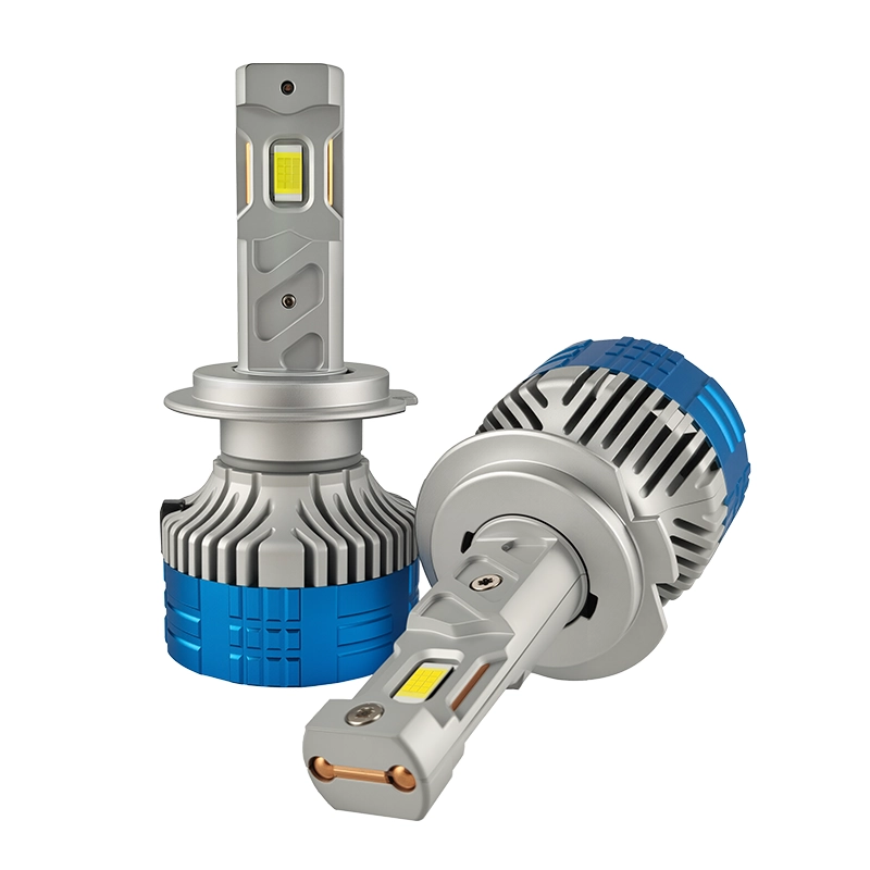 N4 (5) - CARNEON N4 (5) - CARNEON