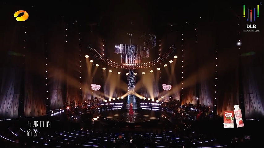 Illuminating the premium stage of Singer 2025 on Hunan Satellite TV, (7) - Fengyi
