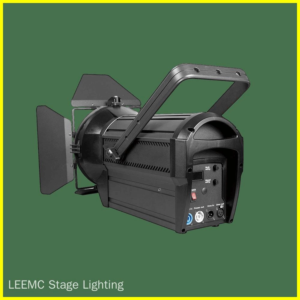 FR2 (4) - LEEMC Stage Lighting