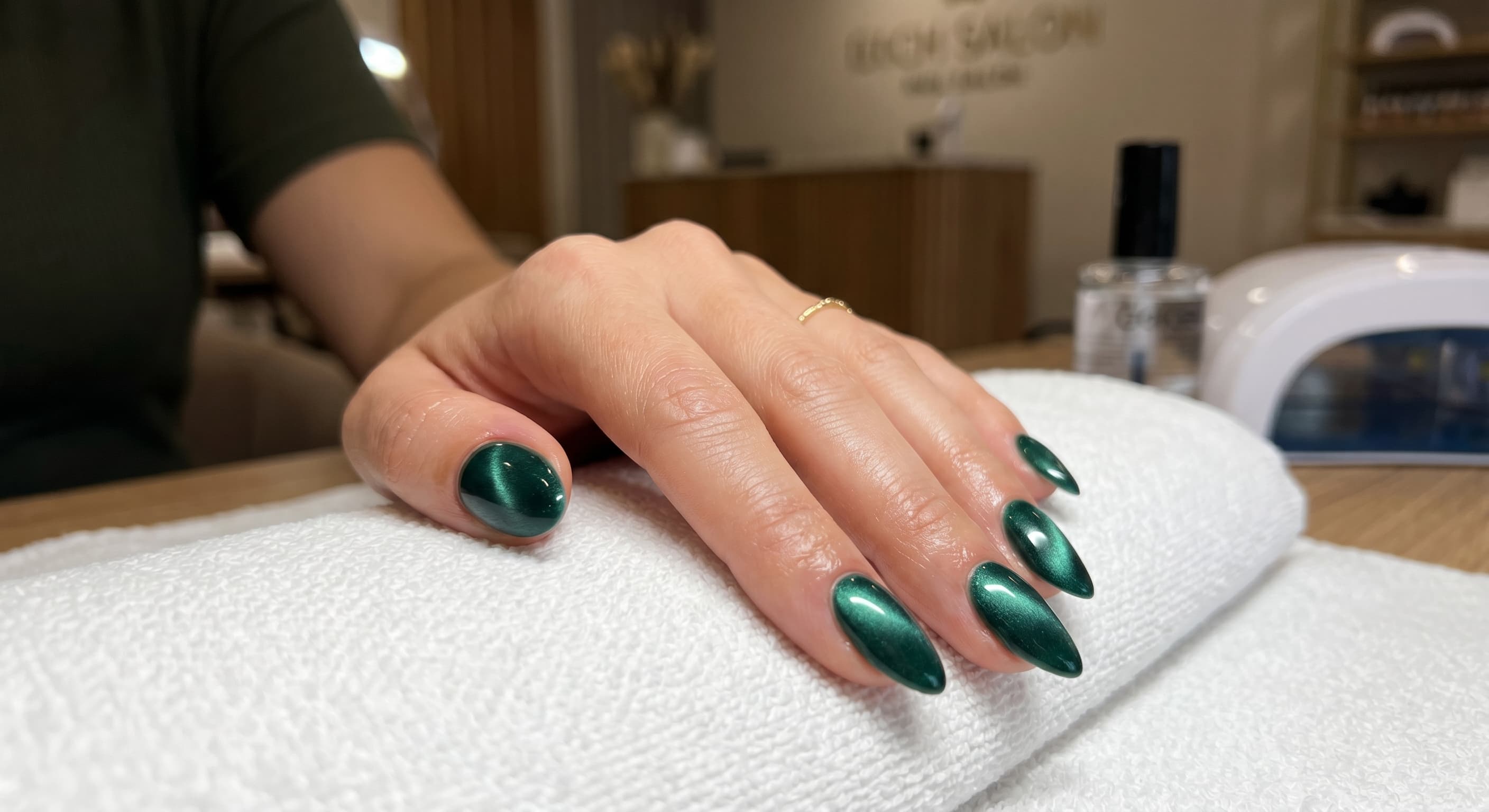 A flawless velvet illusion magnetic manicure showing a soft, fabric-like light reflection