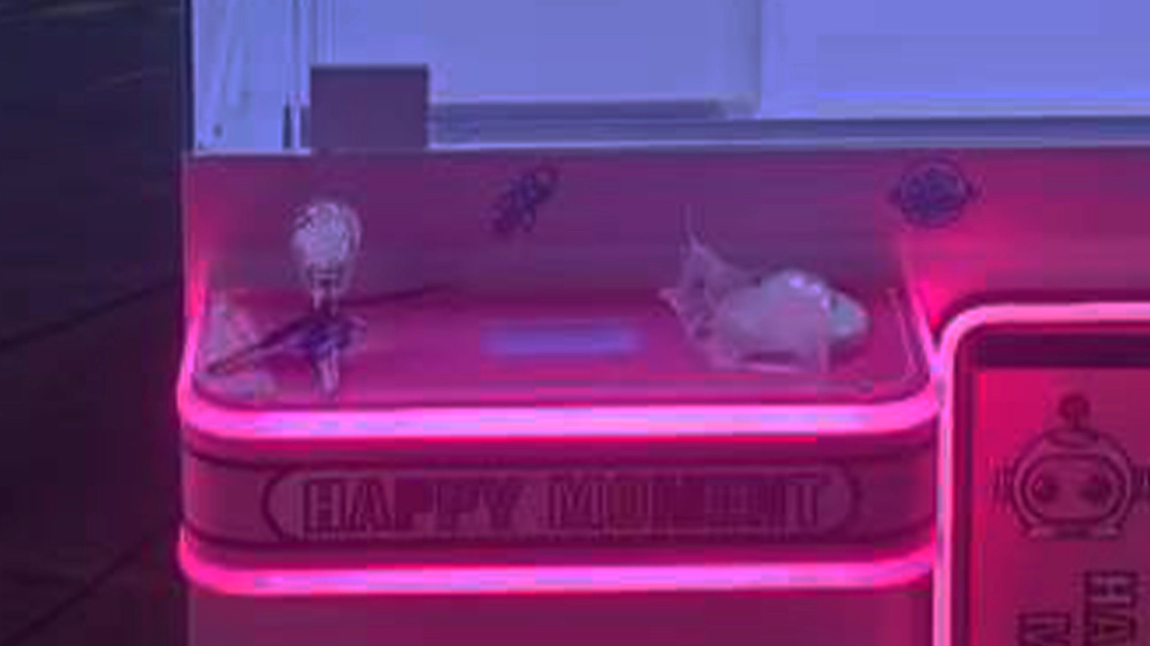 claw machine supplier - DINIBAO