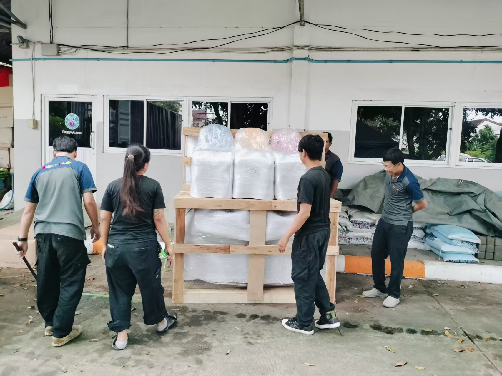 India case (3) India case (3)